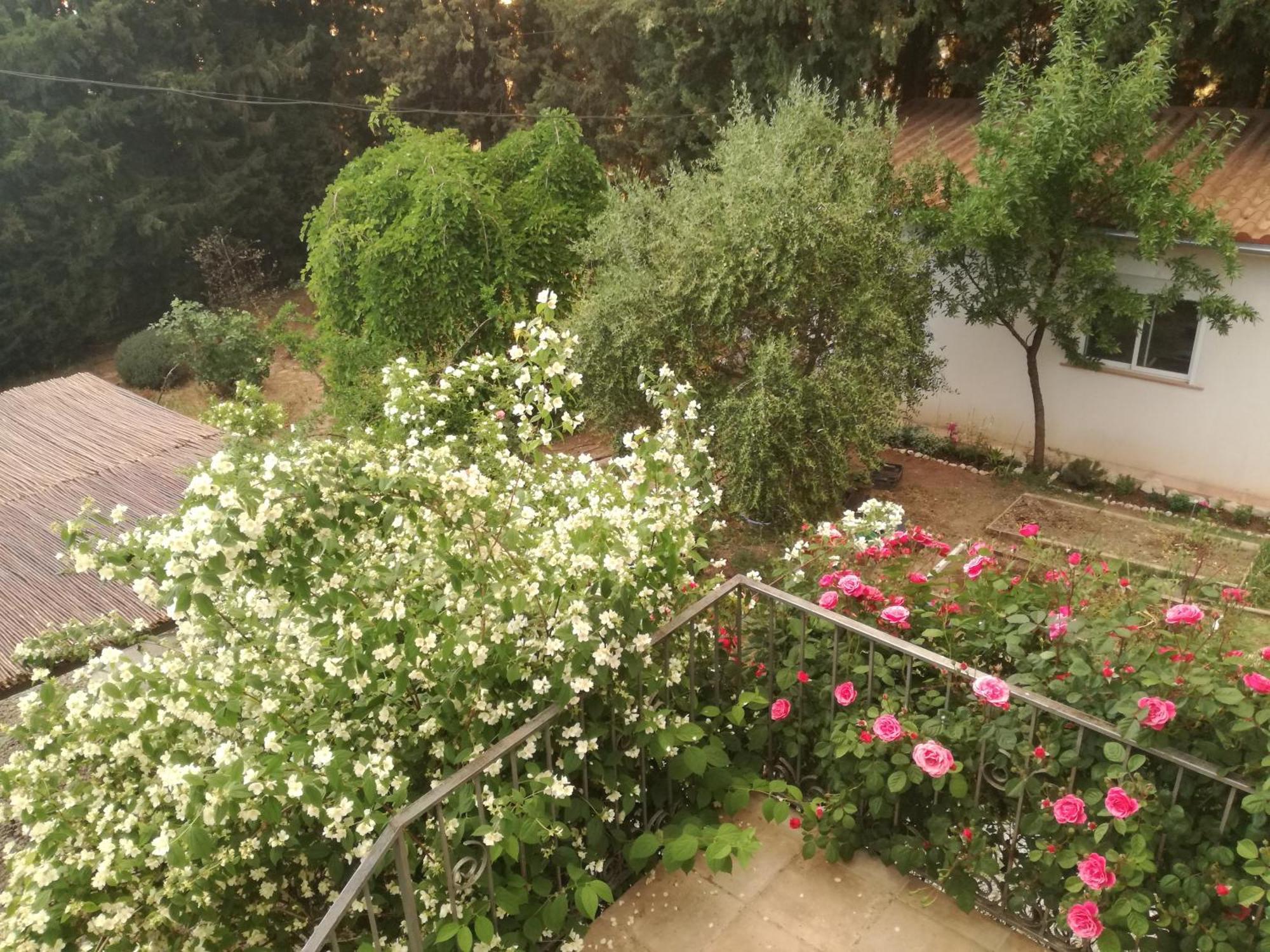 Casa Con Jardin Y Aparcamiento En Viznar, Junto A Granada Vila Exterior foto