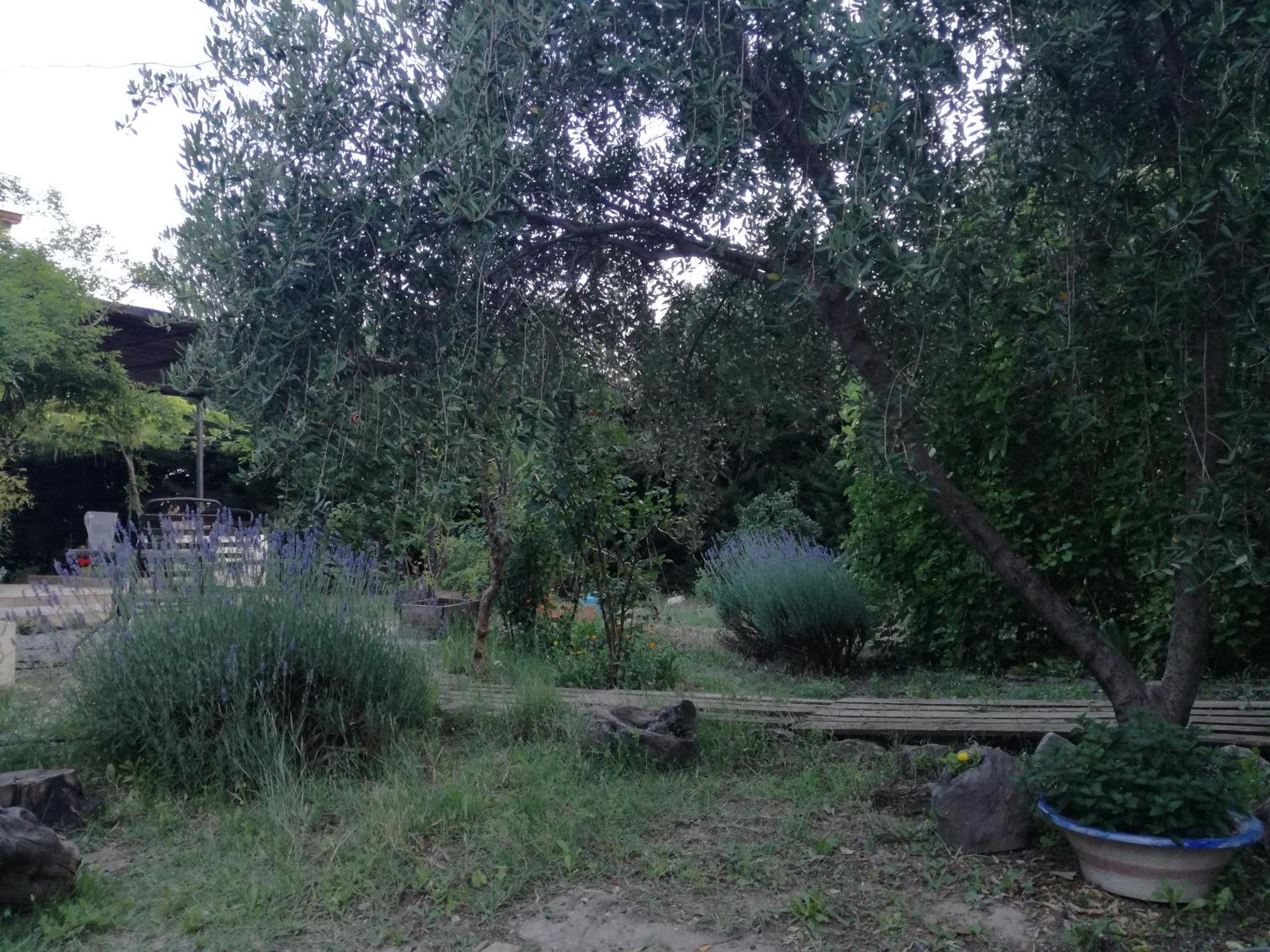 Casa Con Jardin Y Aparcamiento En Viznar, Junto A Granada Vila Exterior foto